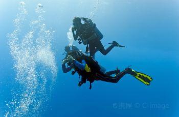 泉州宝藏|为什么真武庙的这位“海神”成为宋元时期的“流量明星”